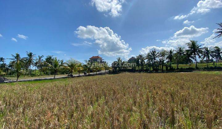 Ready-to-build land for sale in the Gubug Tabanan area 2