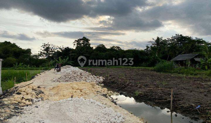 Plot of land ready to build in the Abianbase area of Gianyar 2