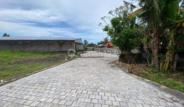 Tanah Kavling Dengan View Sawah Yang Asri Di Tabanan  2