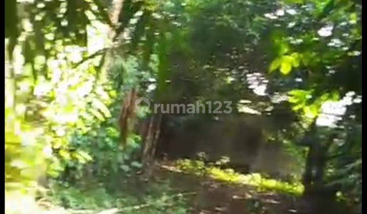 Dijual cepat Tanah di Curug wetan  2