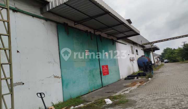 Cheap Sale Ex Factory in Cikupa Near Kedaton Toll Exit. Cheap Sale Ex Factory in Cikupa Near Kedaton Toll Exit.