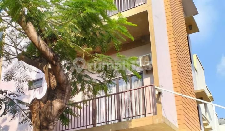 Disewakan Rumah Di Taman Holandia Huk Disewakan Rumah Di Taman Holandia Huk