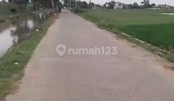 Dijual Tanah Sawah Peruntukan Perumahan Di Sepatan Tangerang
