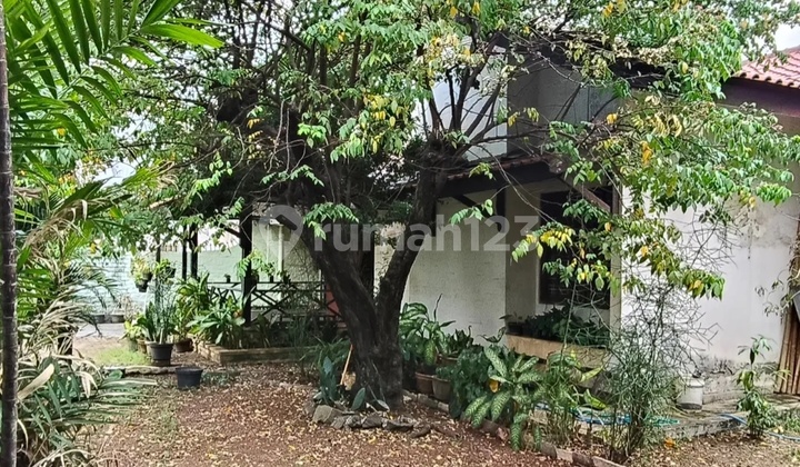 Dijual Rumah Cempaka Putih Barat di Perumahan Cempaka Putih Barat, Jl. Cempaka Putih Barat Xi No.11, Cempaka Putih Barat, Cempaka Putih, Kota Jakarta Pusat, Dki Jakarta, Indonesia, 10520, Cempaka Putih Rumah SHM 2