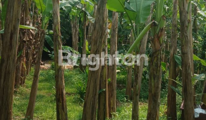 Kavling/Tanah di Legok Tangerang