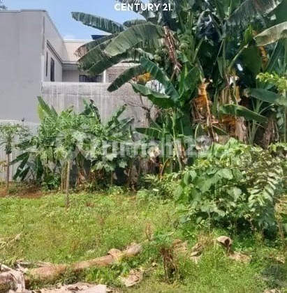 Dijual Kavling Luas di Dekat Bintaro Tangsel