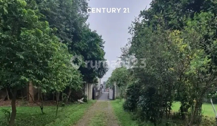 For Sale: Spacious Strategic Plot Near Bintaro