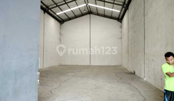 Disewakan : Gudang Royal Kosambi,Dadap Luas : 280 m2 bebas banjir Disewakan : Gudang Royal Kosambi,Dadap Luas : 280 m2 bebas banjir
