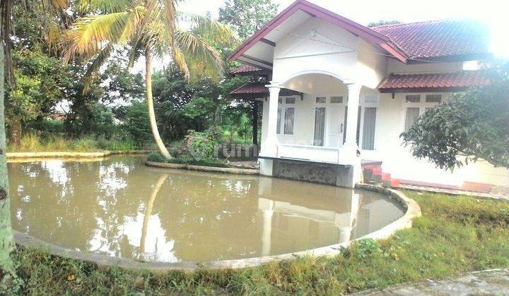 Rumah Lahan Perkebunan Kp Babakan Pageur Jangkung Cibungbulang 2