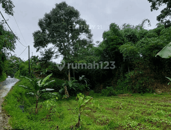 Kavling Ada Mata Air Di Jl Kp Ciherang Pancawati Caringin Bogor 2