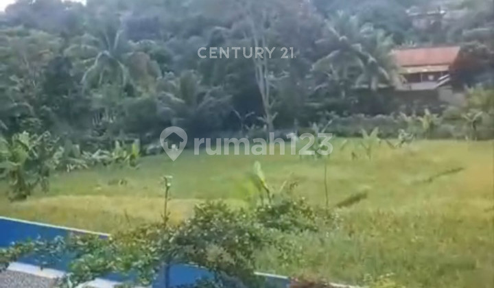 Rumah View Persawahan di Jl Desa Sukaharja Ciomas Bogor (Rz) 2