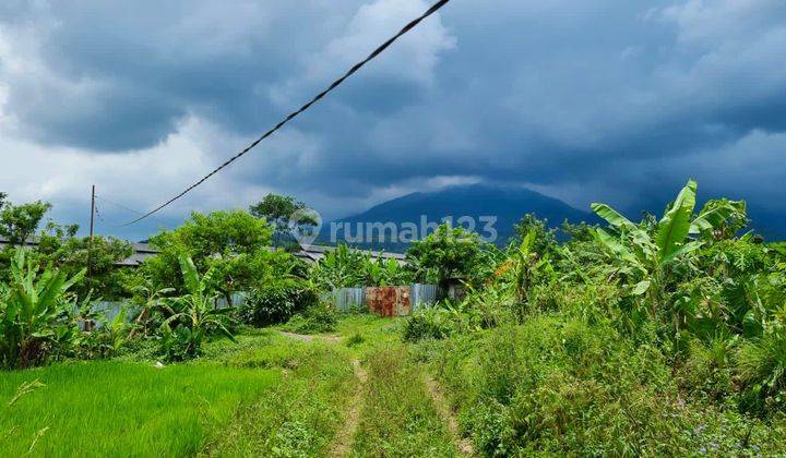 Tanah Tengah Kaki GunungPondok Bitung Cijeruk 1