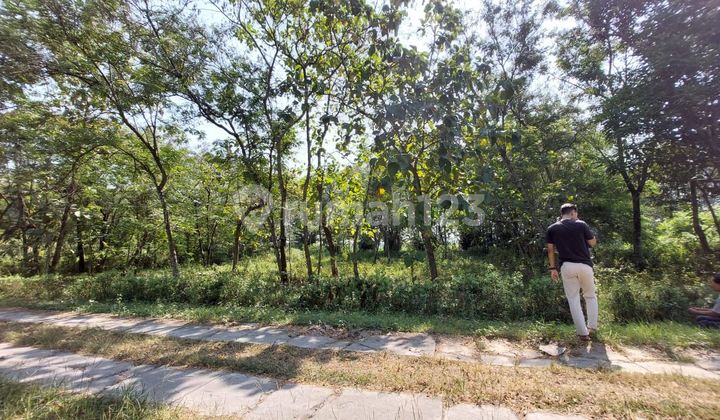 Tanah Murah di Dusun Bendungan, Sumberejo, Madiun 2