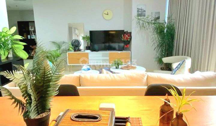 Apartemen Pet Friendly Terbaik Ciputra World 2 Jakarta Selatan 6