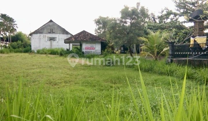 Bali Negara Jual Tanah Strategis Raya Propinsi Gilimanuk Denpasar