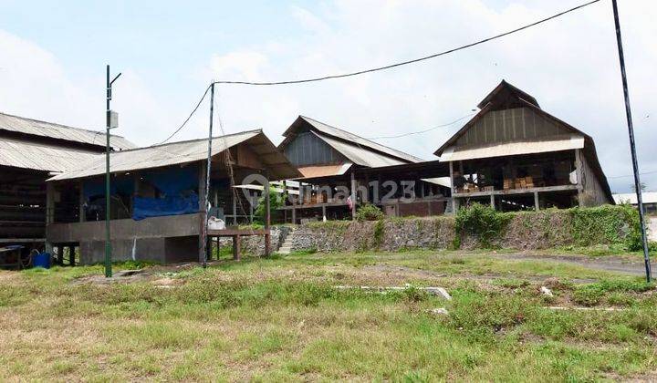 Dijual Peternakan Ayam Petelur Lumajang 1