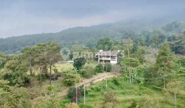 Bukit Trawas Villa for Sale Cheap Villa in Elite Crazy Rich Area