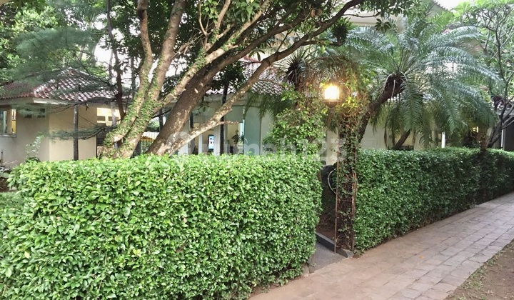 Bintaro Tangerang Jual Murah Rumah Ala Villa Ada Kolam Renang