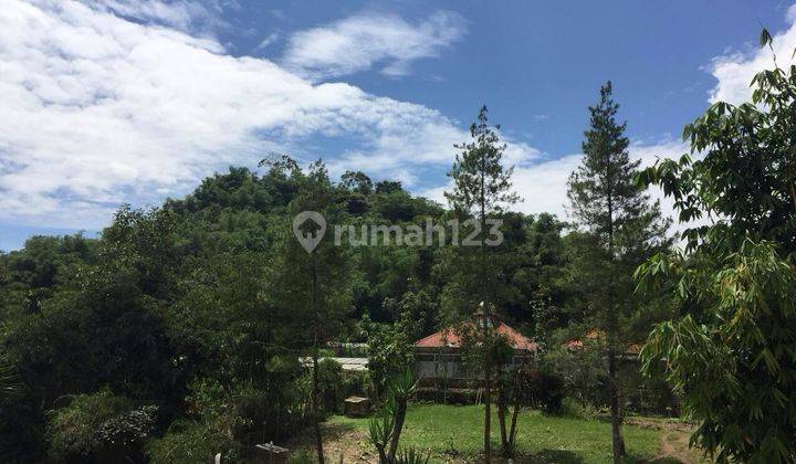 For Sales. Villa Rustic. Cipanas. Puncak. Jawa Barat 1