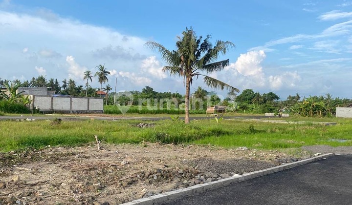 Tanah Kavling Pinggir Jalan Utama Area Pering Gianyar Bali 2