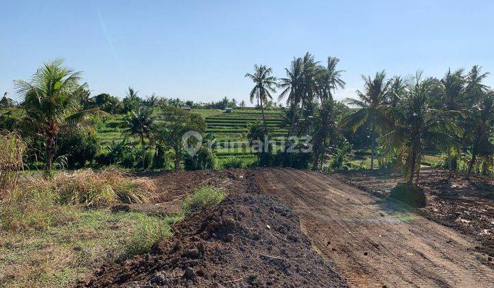 Tanah Kavling Di Abiansemal Dekat Ubud Cocok Dibangun Villa 2