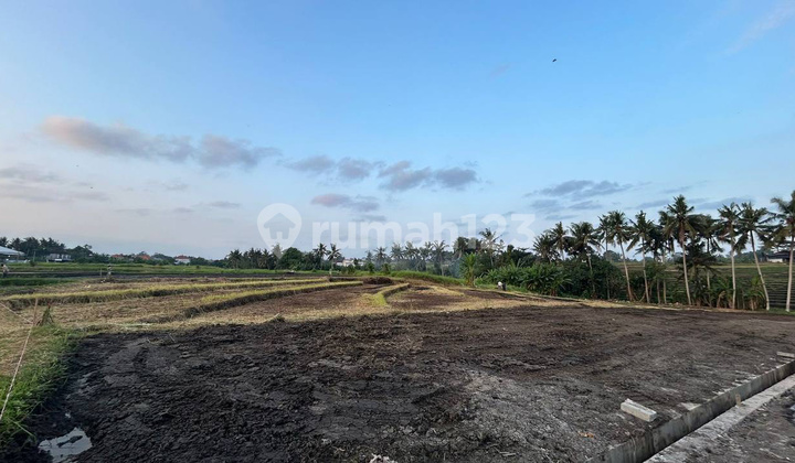 Tanah Kavling Di Jalan Utama Pantai Yeh Gangga Tabanan 1