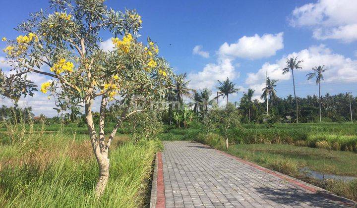 Plot of Land Ready to Build with Rice Field View in Pering Gianyar Bali 2