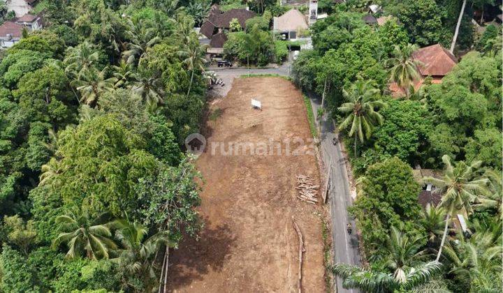 Tanah Kavling Premium Siap Bangun Lokasi Strategis Di Ubud Bali 1