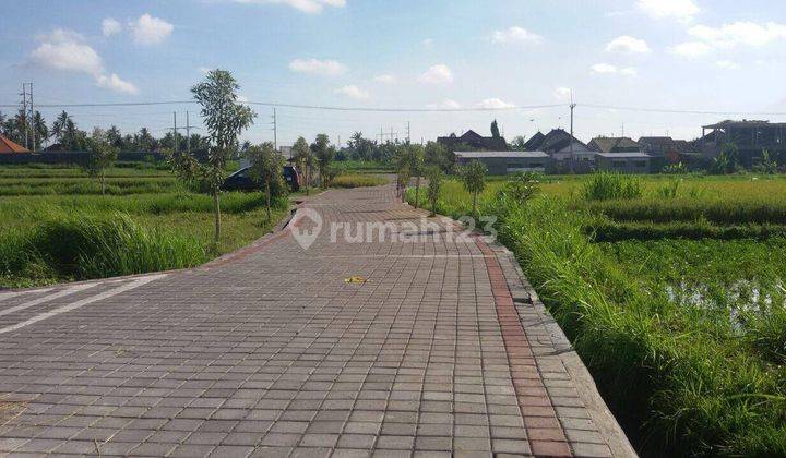 Plot of Land Ready to Build with Rice Field View in Pering Gianyar Bali 1