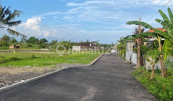 Tanah Kavling Pinggir Jalan Utama Area Pering Gianyar Bali 1
