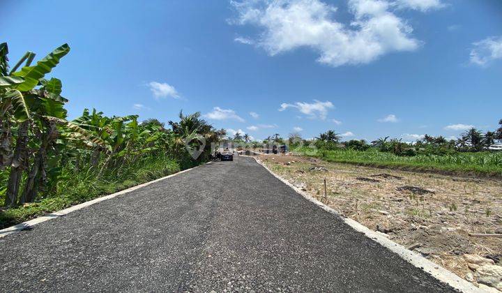 Tanah Kavling View Sawah Lokasi Strategis Di Pering Gianyar 1