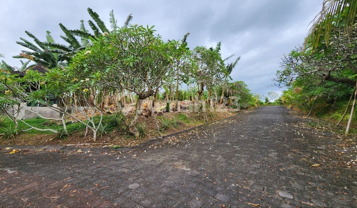 Tanah Kavling Premium Di Bypass Ida Mantra Siyut Gianyar Tanah Kavling Premium Di Bypass Ida Mantra Siyut Gianyar