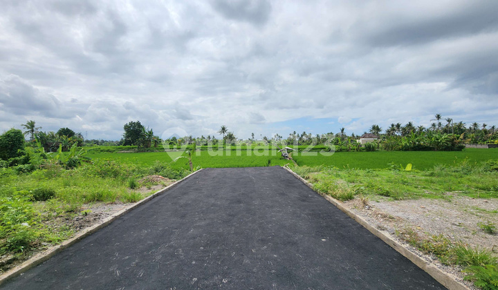 Strategic Land Plot Ready to Build in Pering, Gianyar Strategic Land Plot Ready to Build in Pering, Gianyar