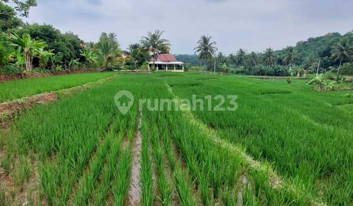 Dijual Lahan di Pasawahan Purwakarta Jawa Barat