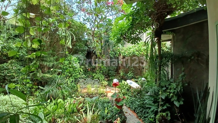 For Sale: Boarding House and Residential House in Tanah Abang, Central Jakarta 2