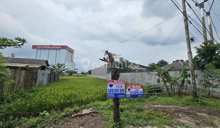 Dijual Tanah di Pinggir Jalan Raya di Desa Cijaya Kecamatan Campaka Purwakarta Jawa Barat 1