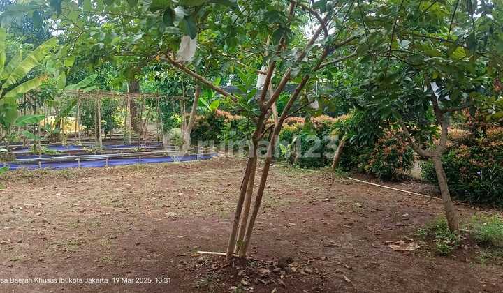 Jual Cepat Tanah Luas Pinggir Jalan Utama Kahfi Cocok Untuk Usaha Jual Cepat Tanah Luas Pinggir Jalan Utama Kahfi Cocok Untuk Usaha