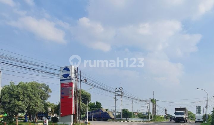 Tanah Raya Manyar Gresik Dekat JIIPE  1