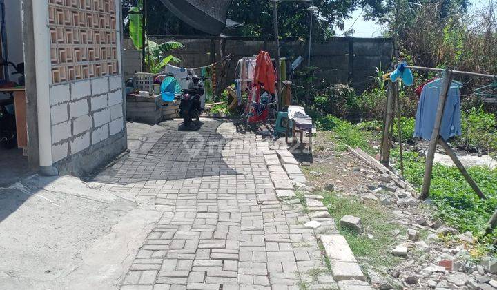 Murah Tanah Di Jalan Kukun Dekat Bukit Palma Citraland Sambikerep 2