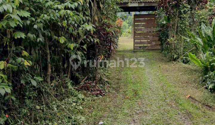 Kavling Siap Bangun Di Jl Tamansari Bogor Jawa Barat Kavling Siap Bangun Di Jl Tamansari Bogor Jawa Barat