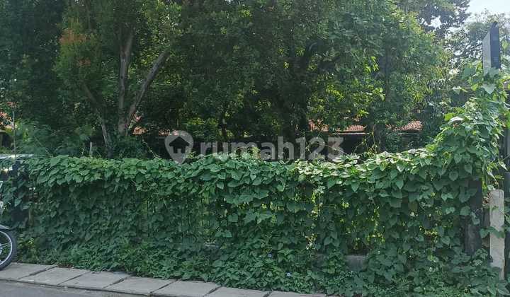 Suitable For Padel. 2500m² Land with Bonus House in Ciputat