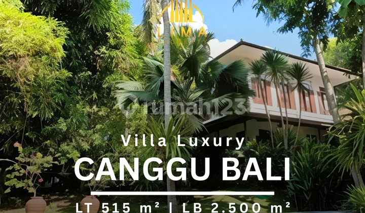 Villa Eksklusif Canggu Bali Tenang & Asri