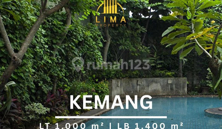 Rumah Kemang Nuansa Villa Big Garden & Pool