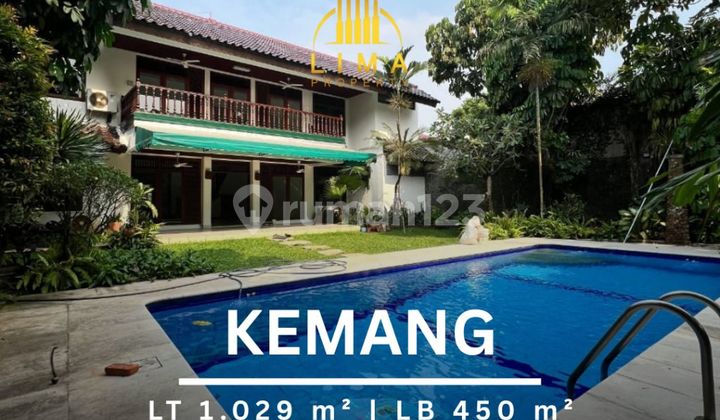 Rumah Kemang Private Pool & Taman Luas Lingkungan Tenang