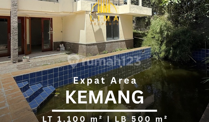 Kemang House Private Pool Large Garden & Carport