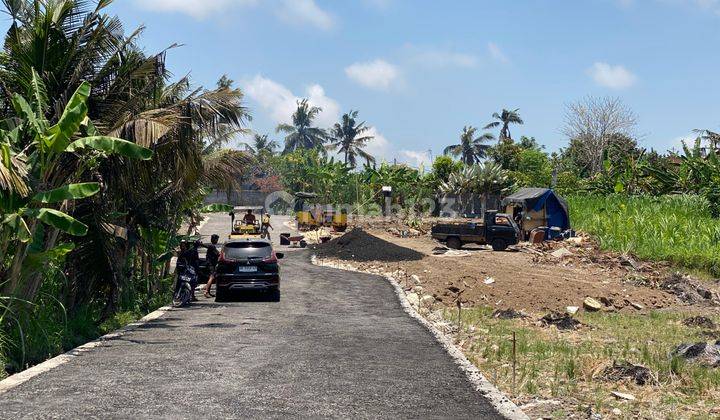 Tanah Kavling View Sawah, Harga Murah Meriah di Pering, Gianyar 2