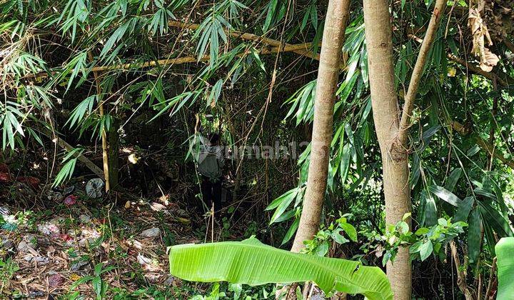 Dijual Tanah View Sungai Dan Tebing Hijau di Sekar Sari, Penatih  2