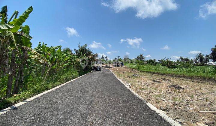 Tanah Kavling View Sawah, Harga Murah Meriah di Pering, Gianyar 1