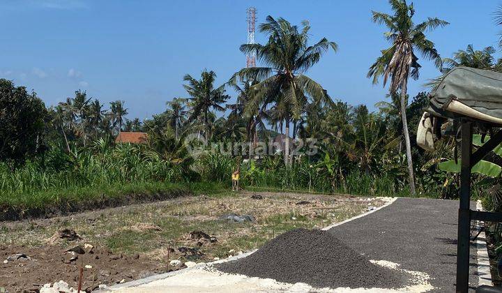 Tanah Kavling View Sawah Harga Murah Meriah di Pering, Gianyar 2