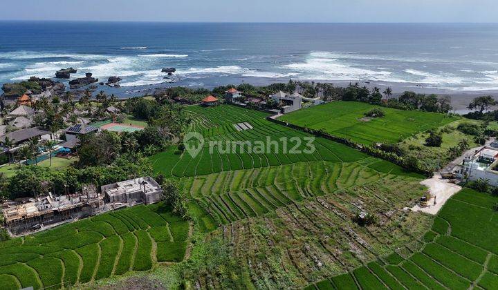 Plot of Land View Paddy at Cemagi Beach, One Minute to the Beach 2